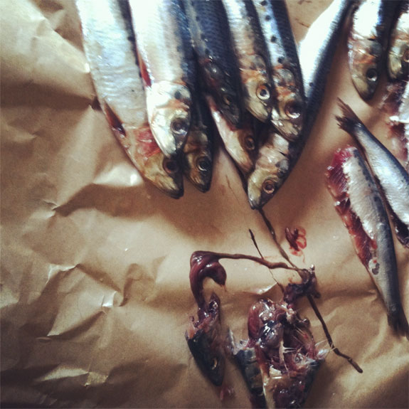 2012_02_24-Sardines