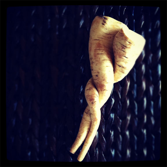 2012_03_30-Parsnips