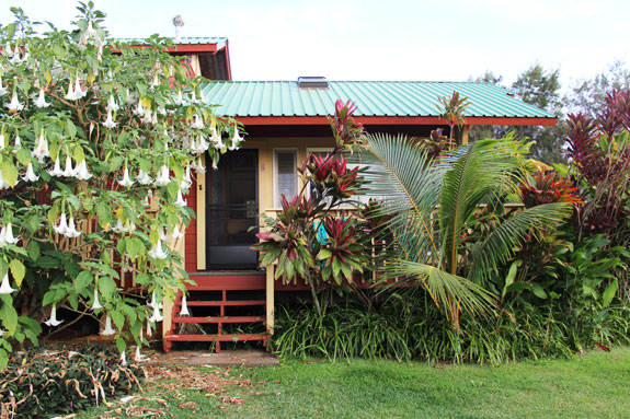 2012_04_16-Kauai02